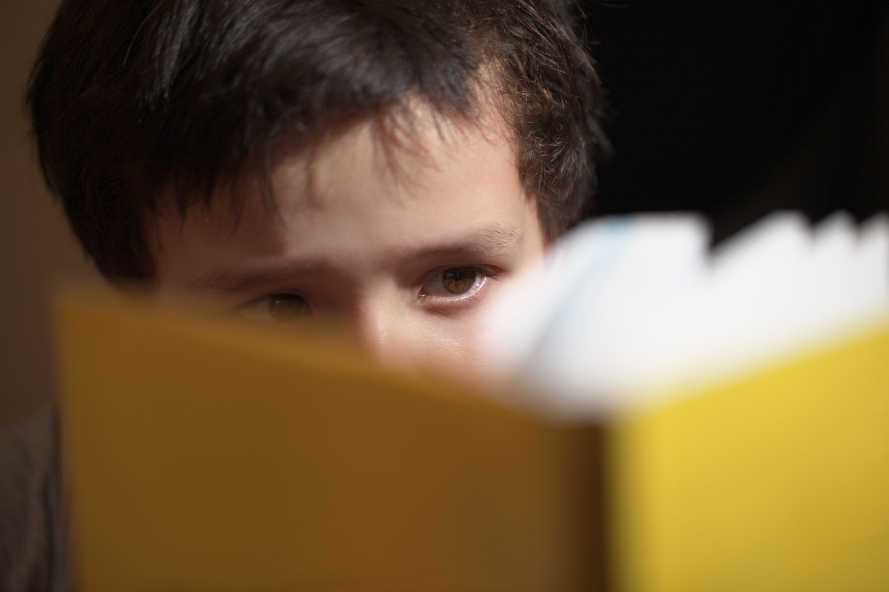 Young boy reading a book